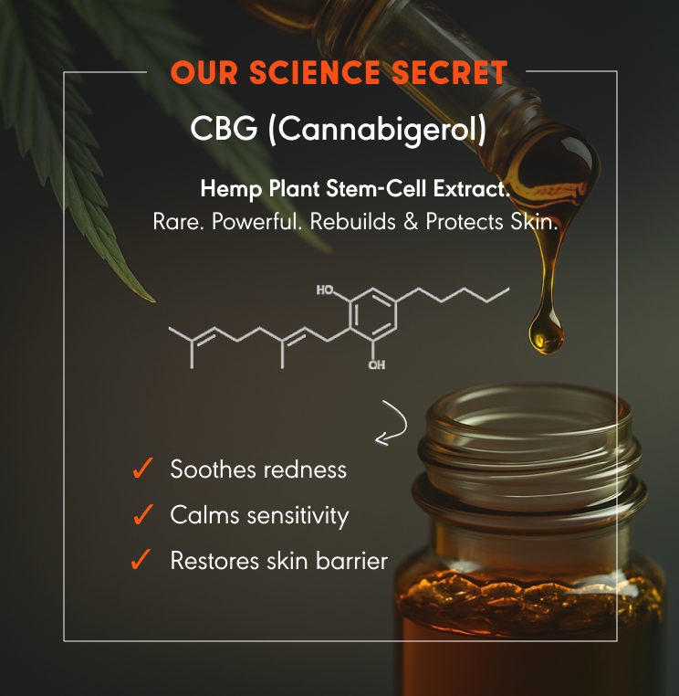 The Ultimate Collection