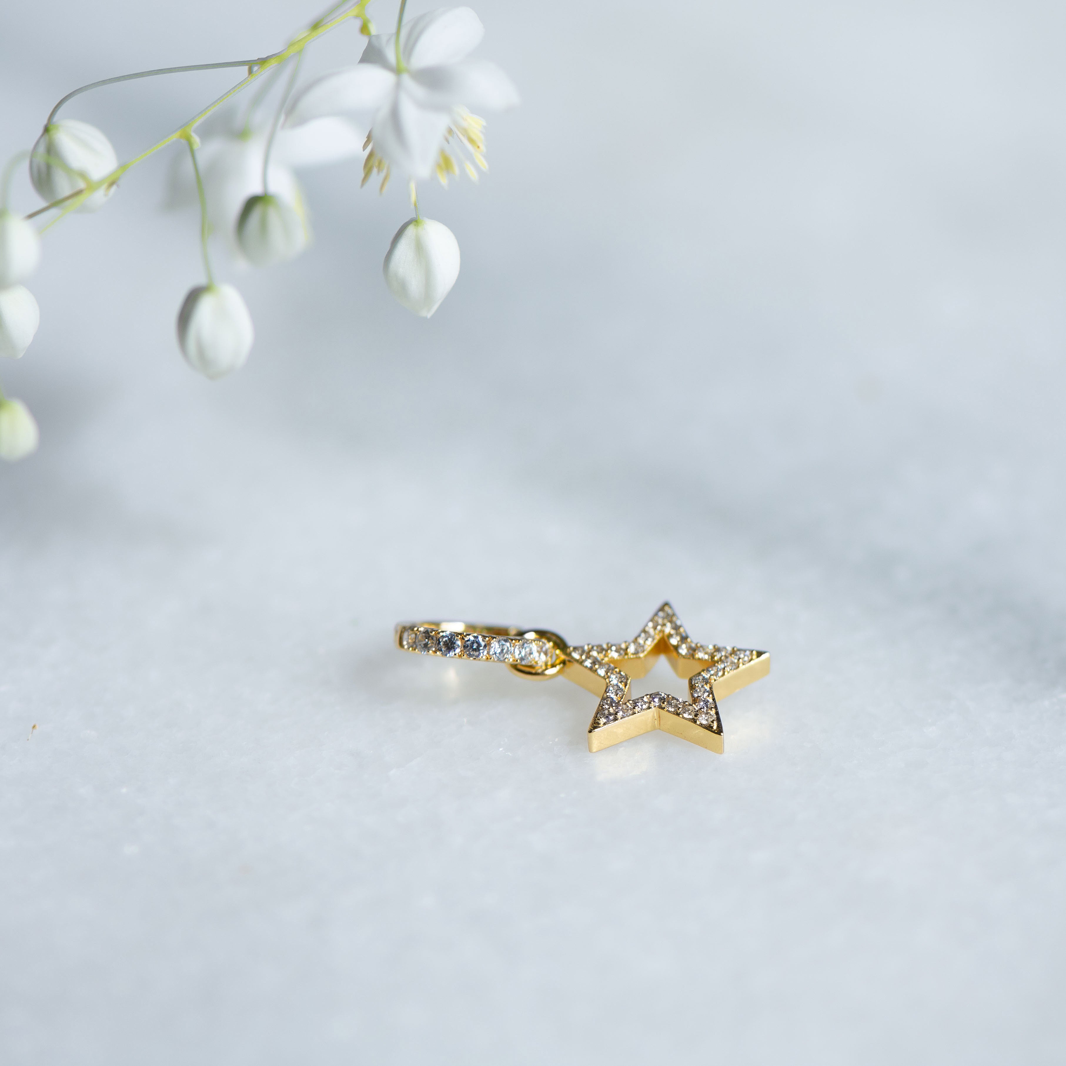 Crystal Charm Hoop in Gold