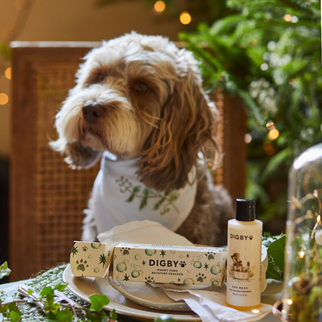 Muddy Paws Bathtime Cracker - Digby