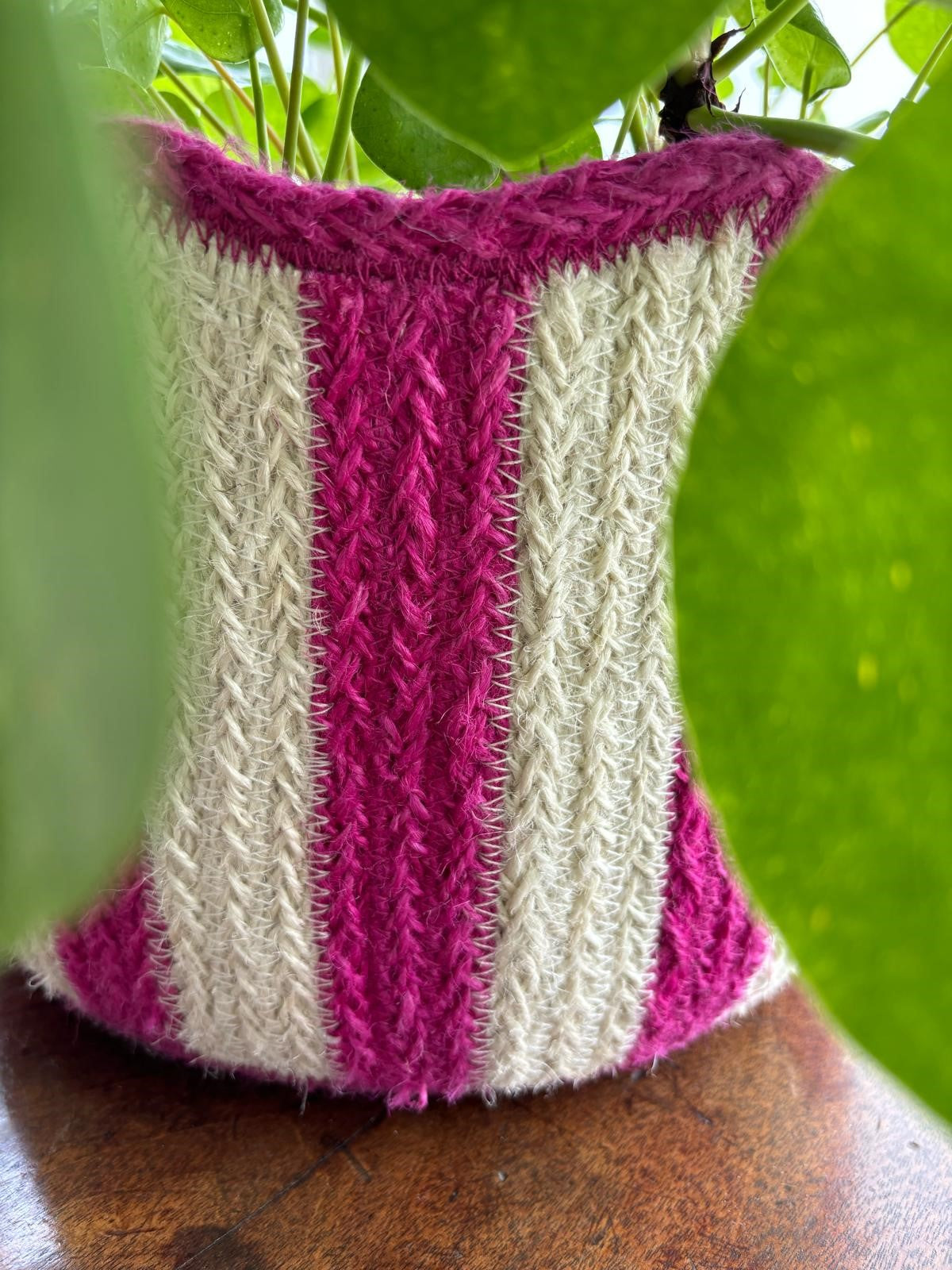 Tulip Basket Magenta