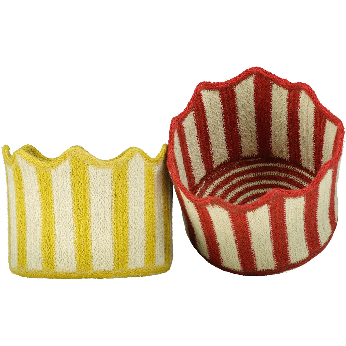 Tulip Basket Daffodil