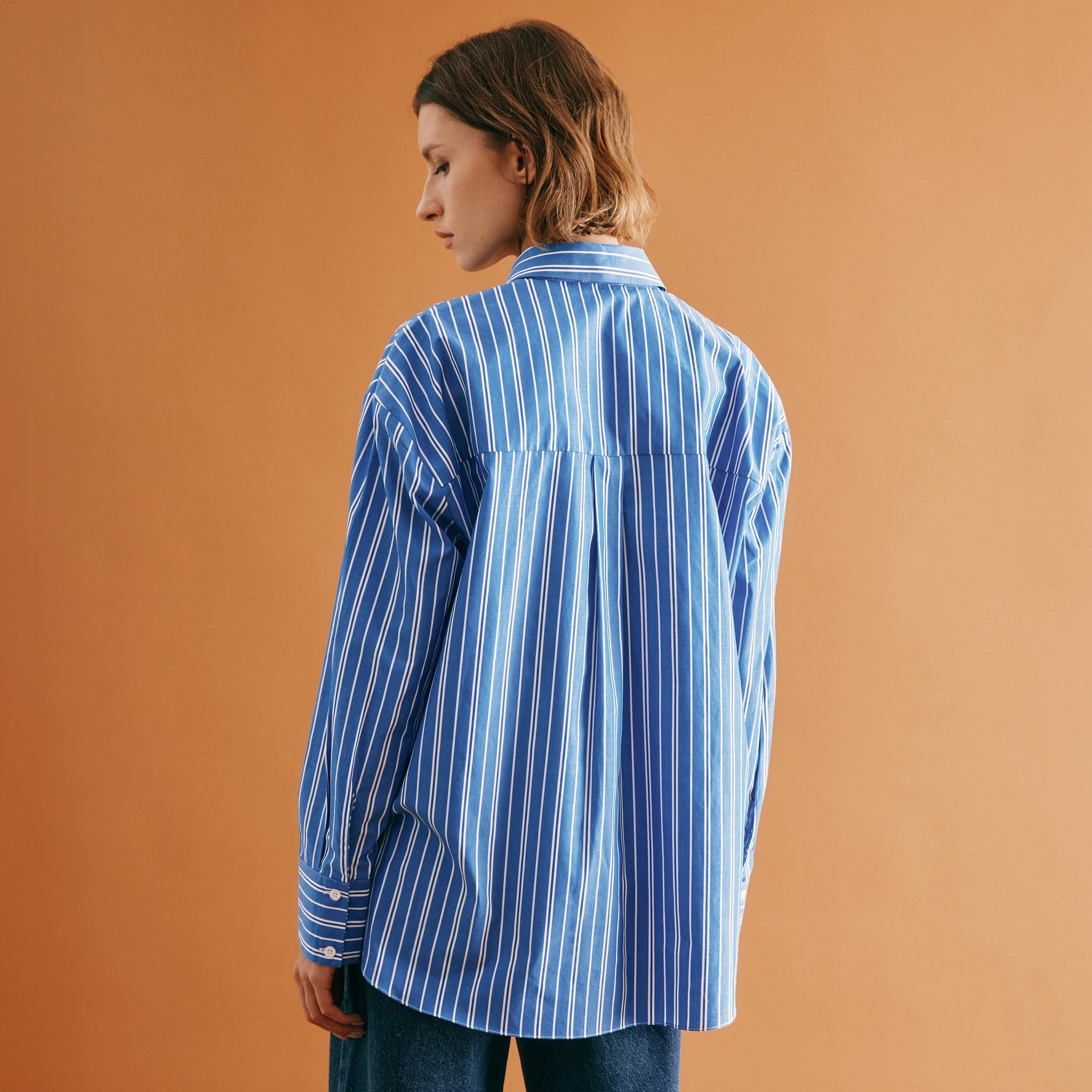 Blue Stripe Shirt