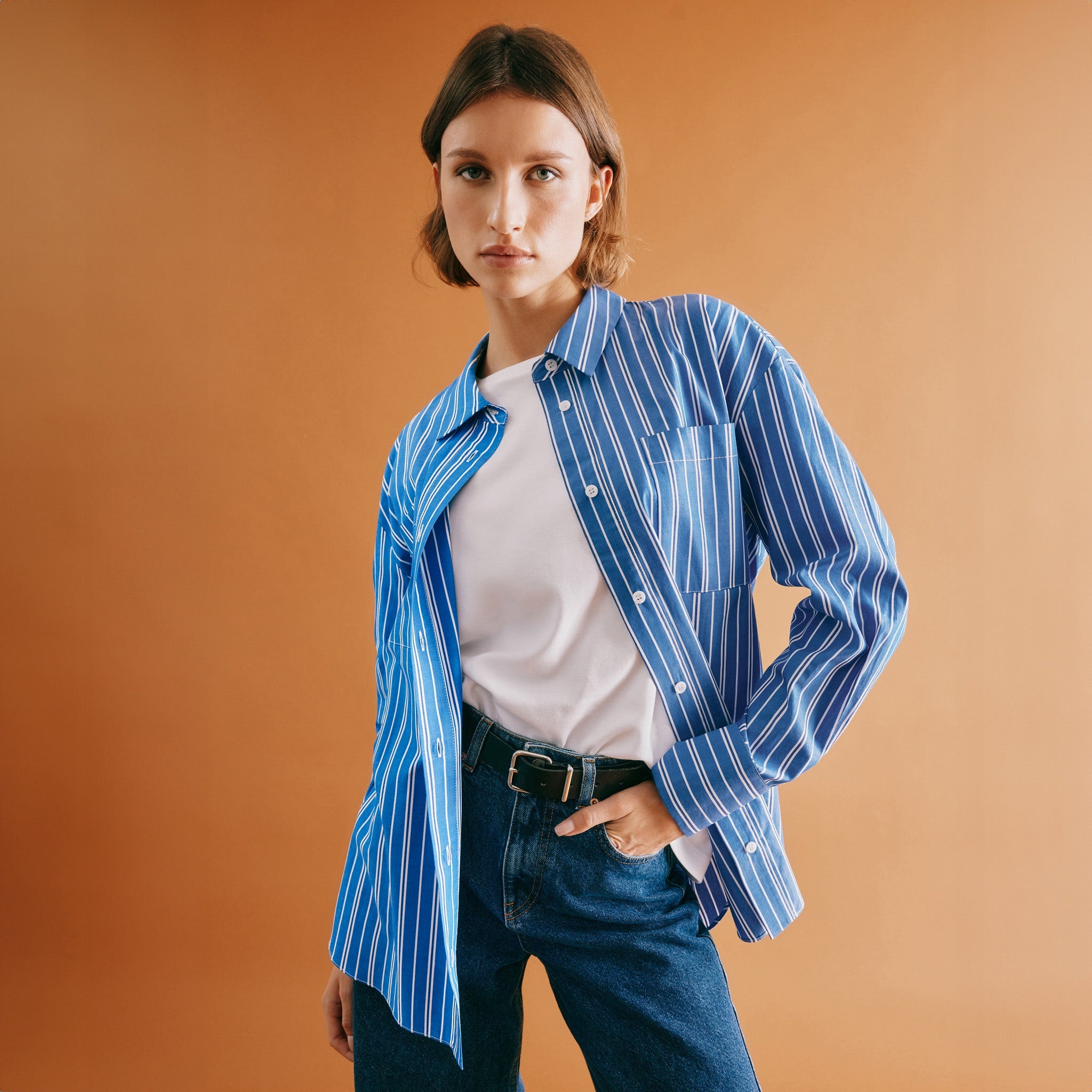 Blue Stripe Shirt