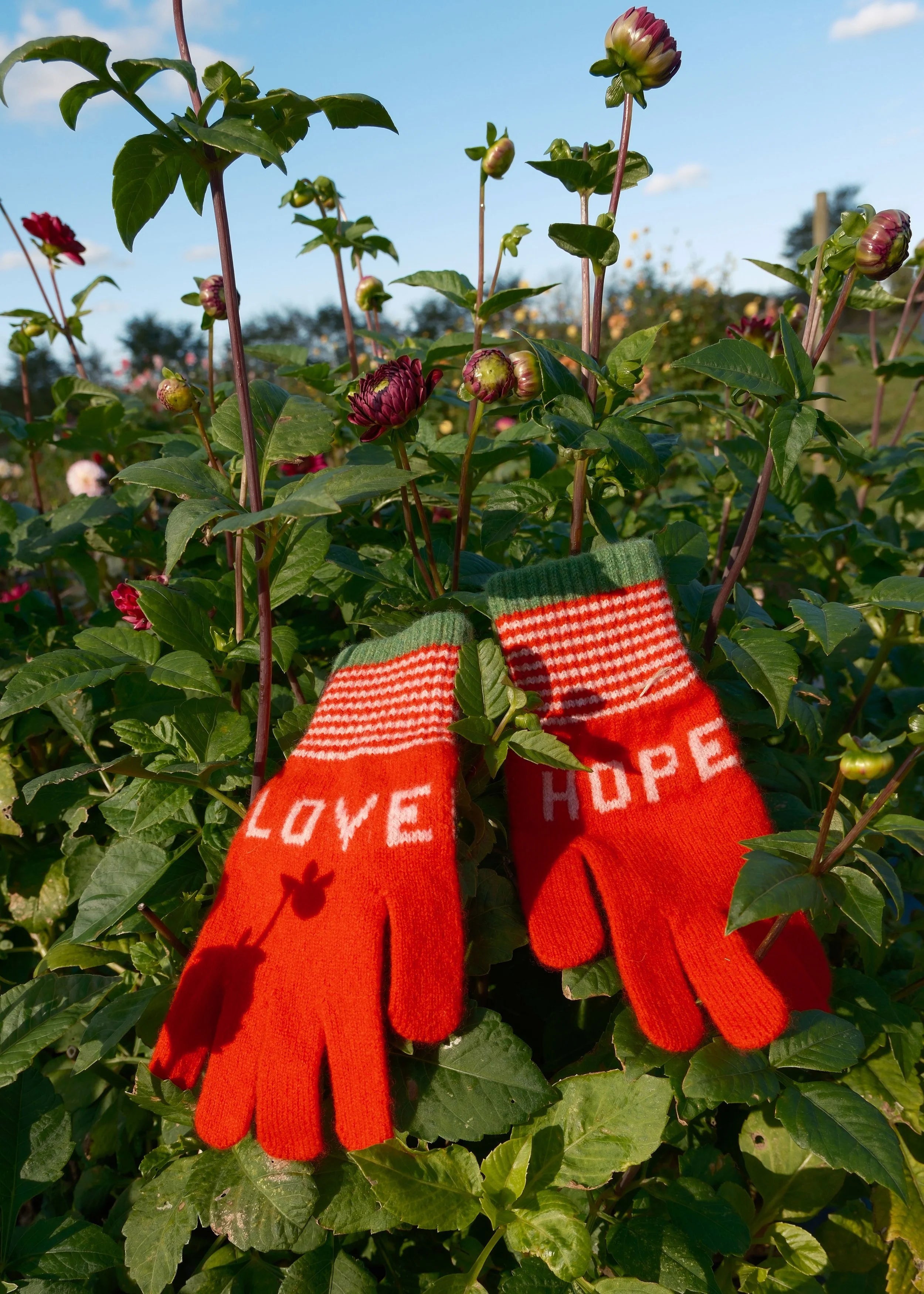 Love and Hope Gloves in Classic Red With Green Cuff Stripe
