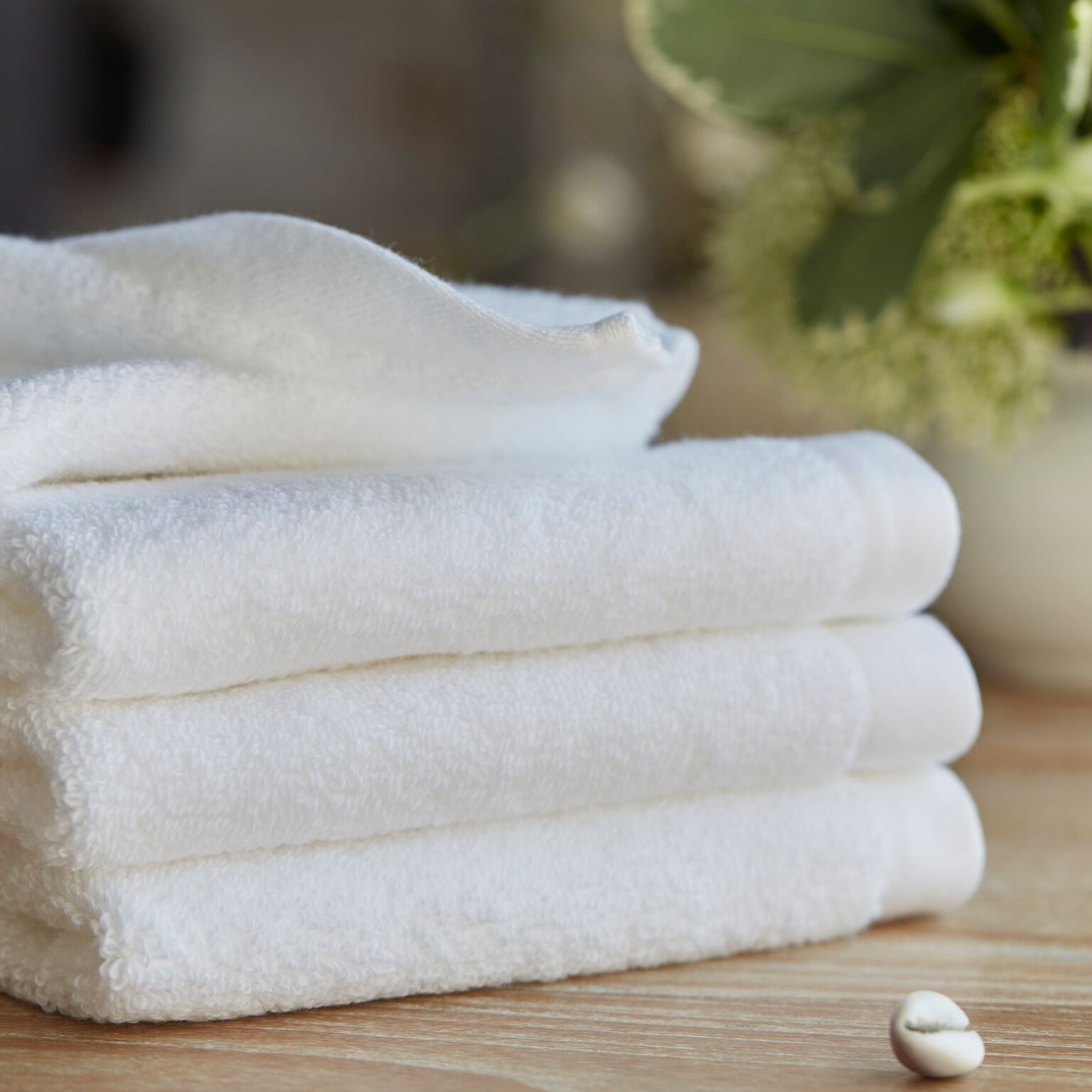 Set of 4 - Signature Luxurious & Fluffy Face Cloth