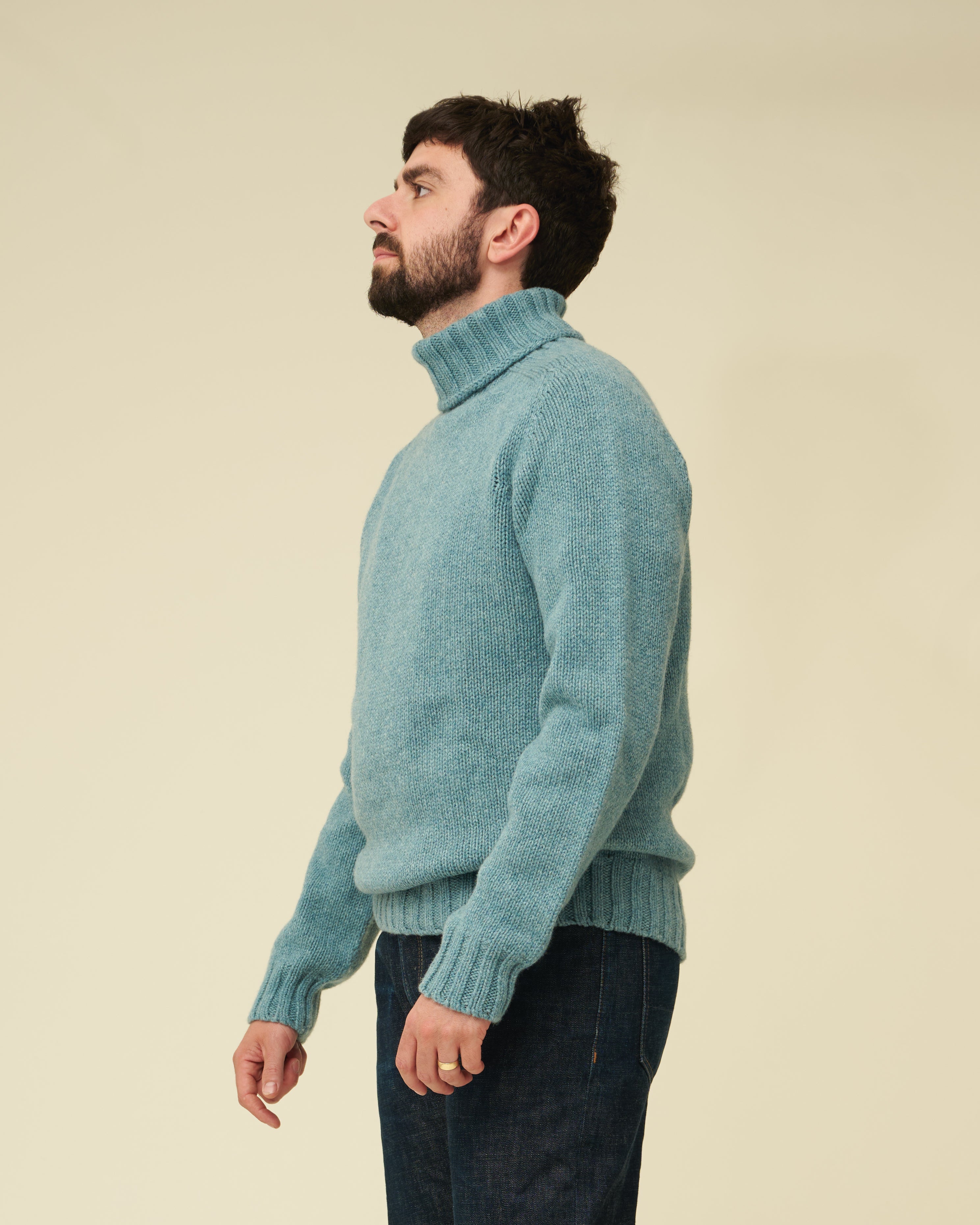 Chunky Merino Lambswool Roll Neck - Helford Green