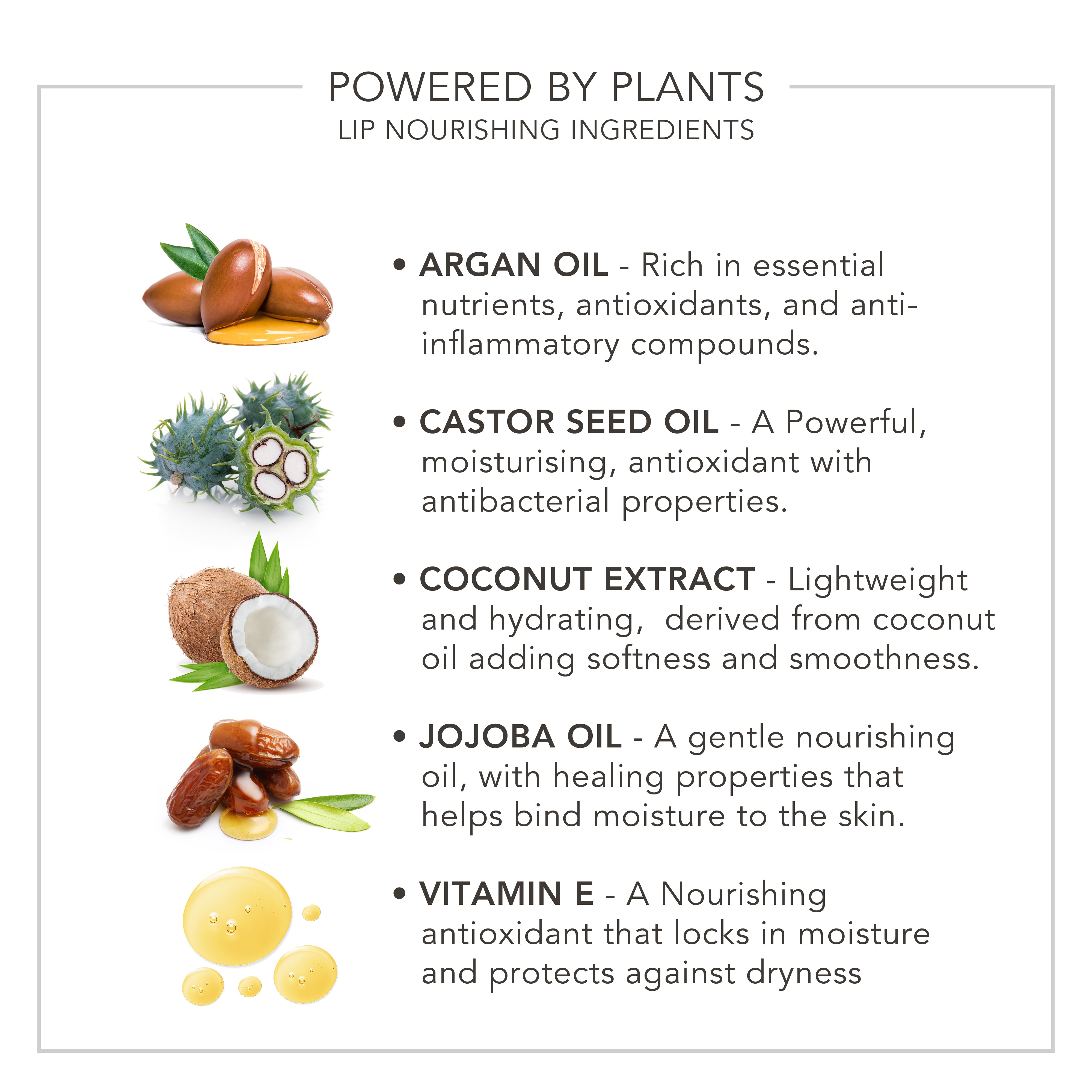 Lip Saviour | Colour Enhancing Lip Oil