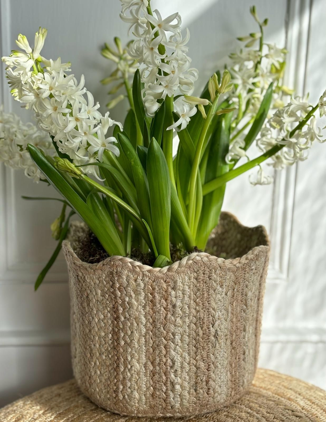 Tulip Basket Natural Stripe