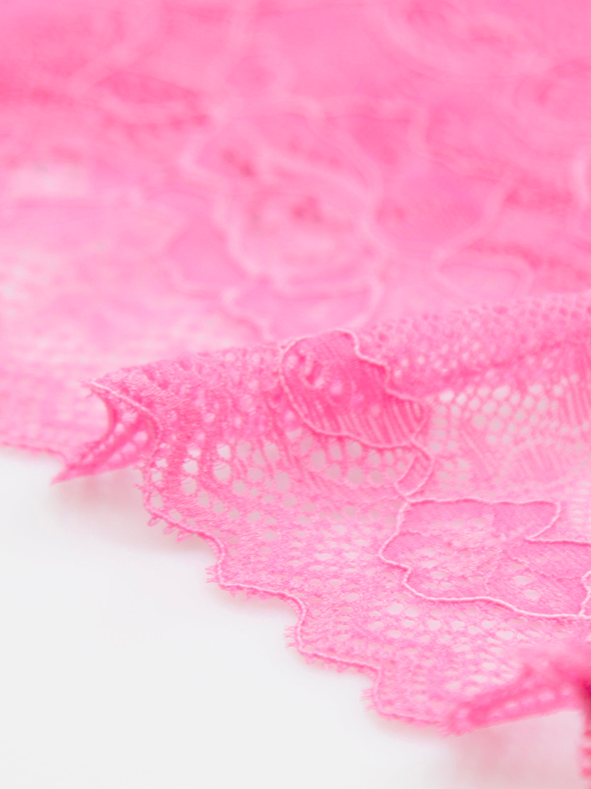 Eco Lace Triangle Bra - Pink Cosmos & Hibiscus