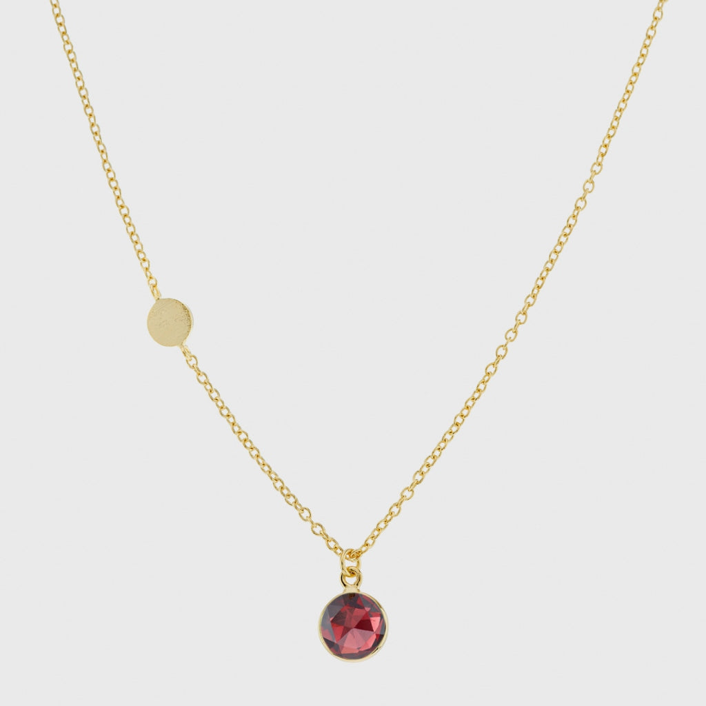 Salina Garnet and Gold Vermeil Disc Necklace
