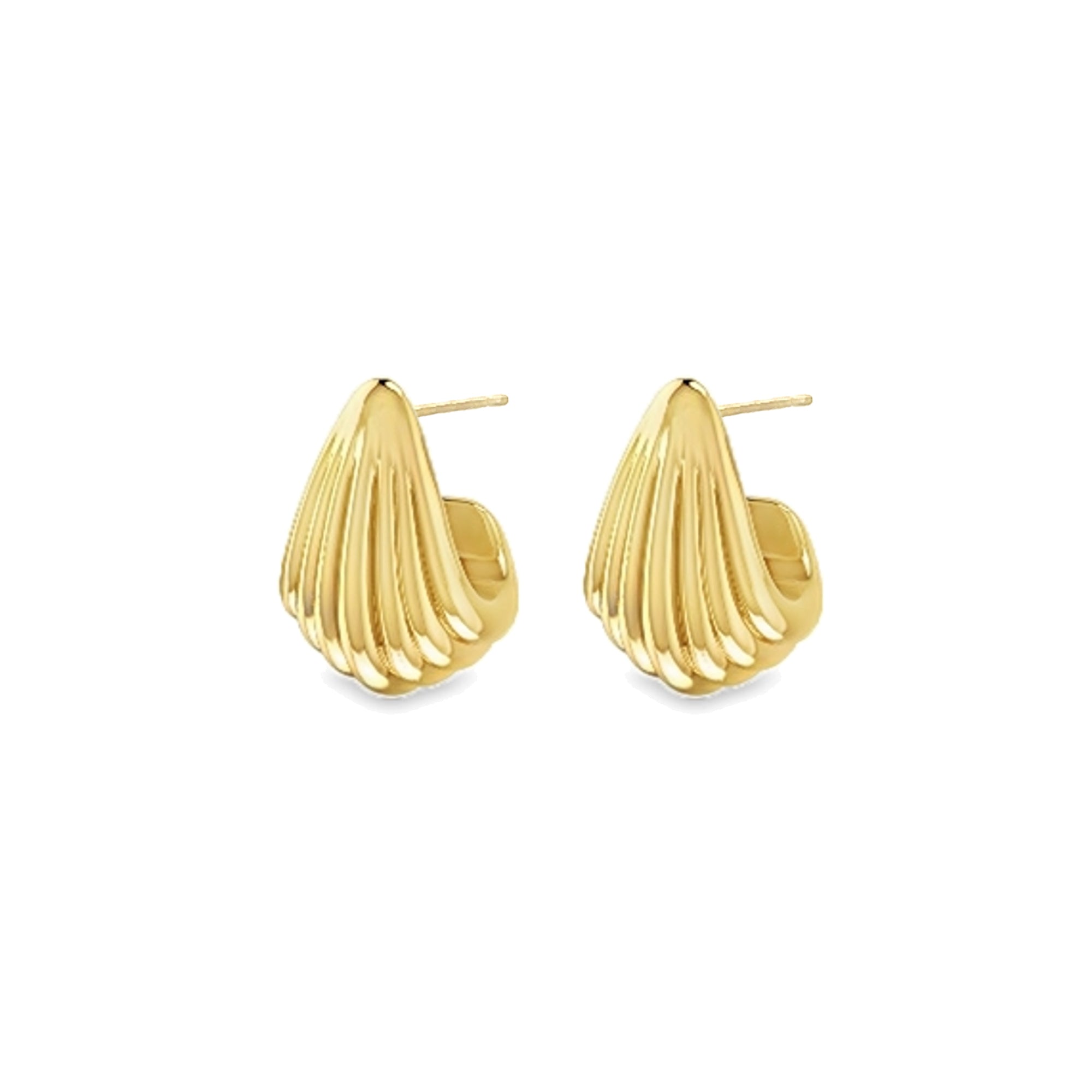 Shell Drop Earrings