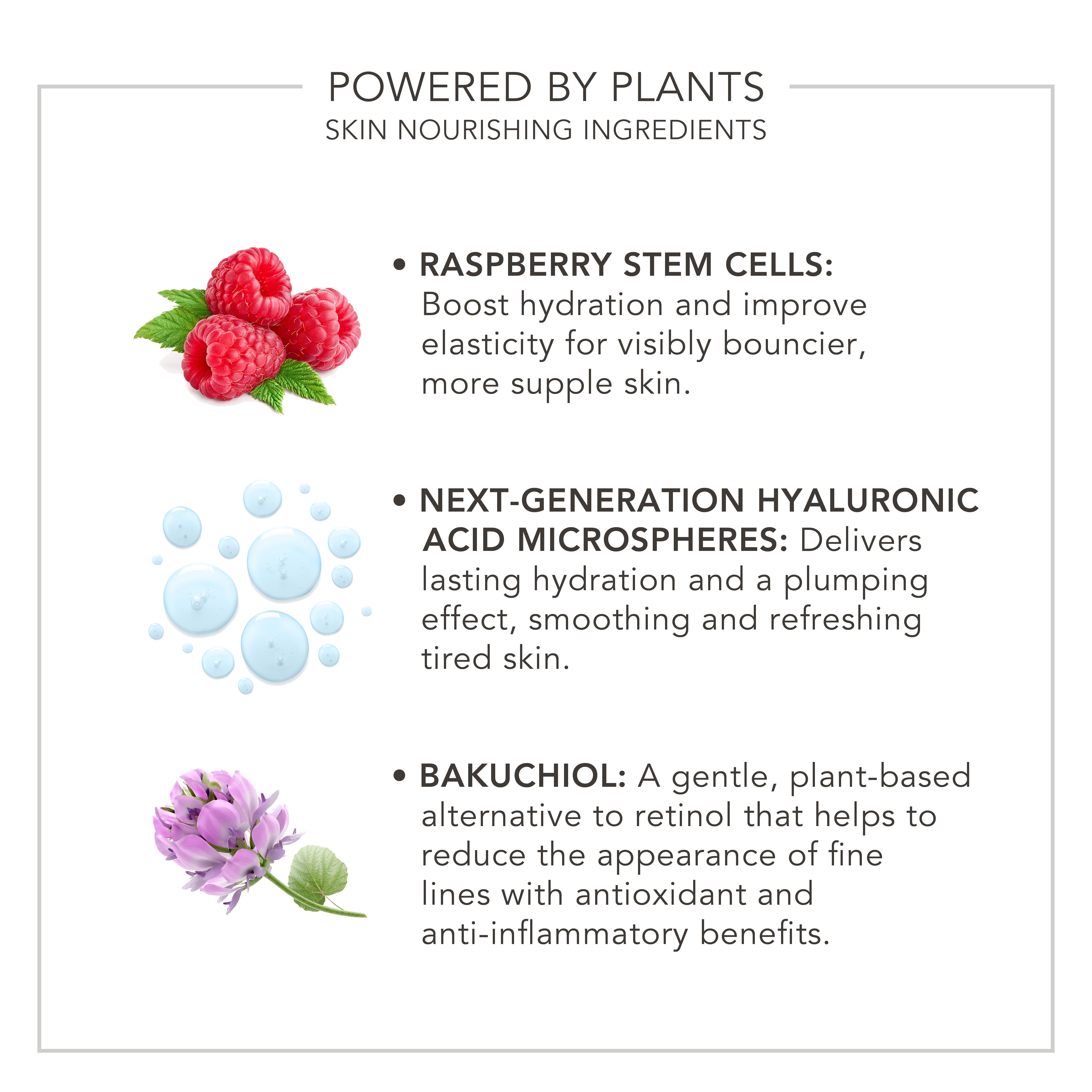 Wake Up | Radiant Elixir