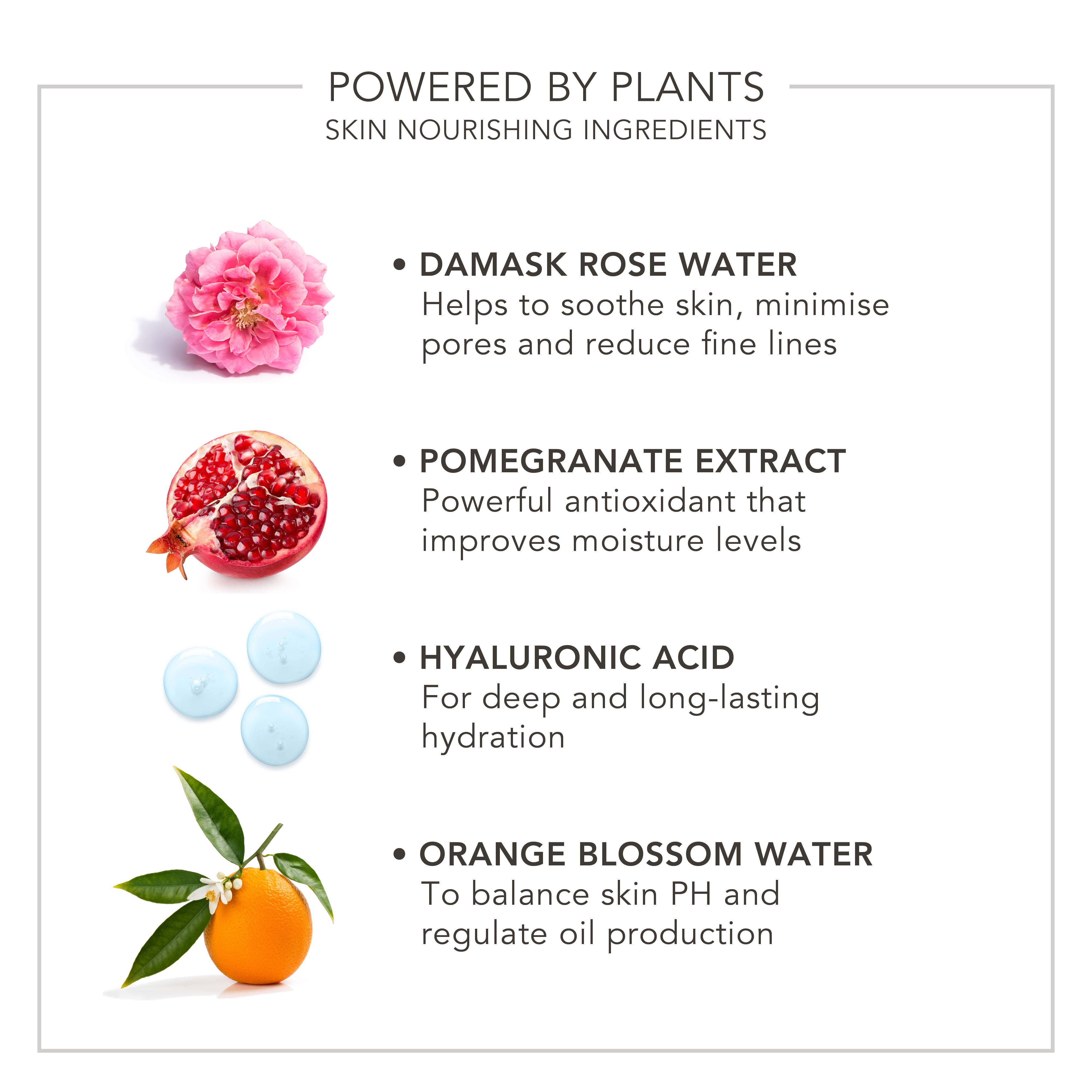 Wake Up | Radiant Hydrating Skin & Make-Up Mist