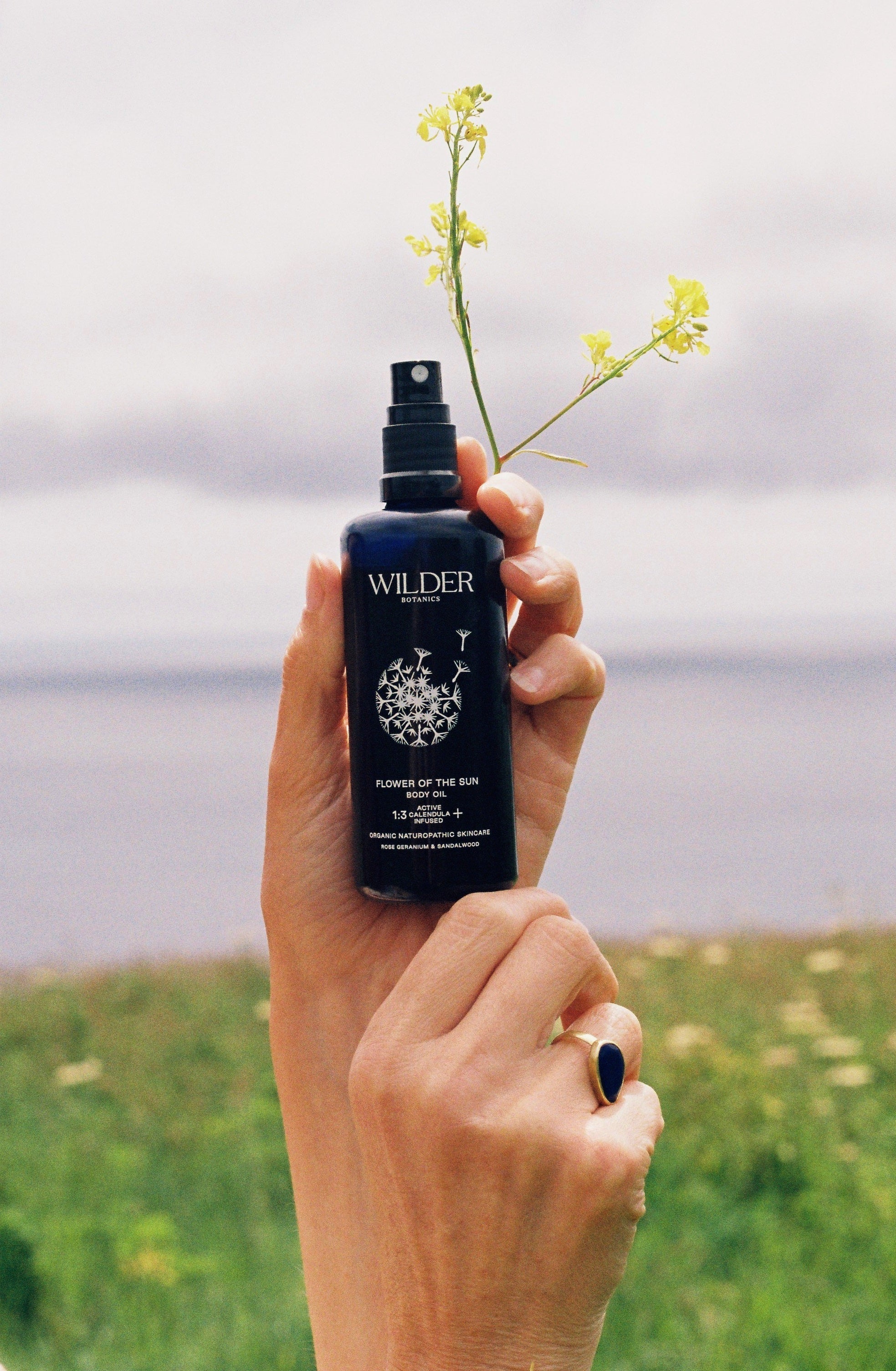 Flower of the Sun Body Oil