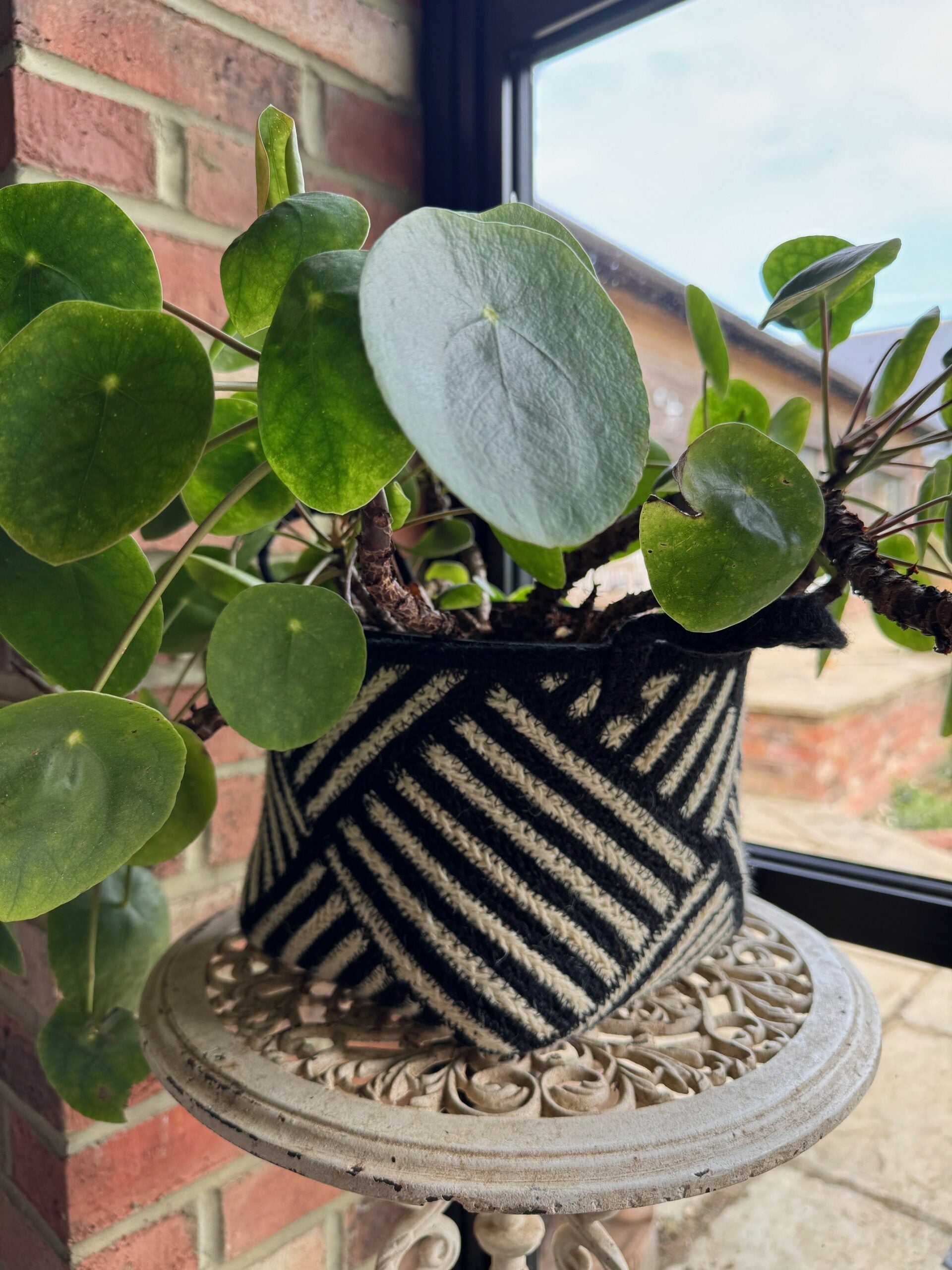 Zebra Basket Black